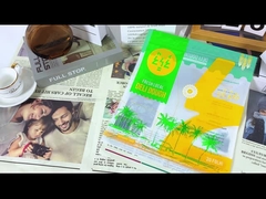 पका हुआ भोजन के लिए बंद प्लास्टिक ज़िपर पैकेजिंग बैग मैट गायब